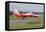 An F-5E Tiger Ii Aircraft of the Patrouille Suisse Aerobatic Team-null-Framed Stretched Canvas