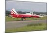 An F-5E Tiger Ii Aircraft of the Patrouille Suisse Aerobatic Team-null-Mounted Photographic Print
