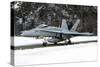 An F-A-18 Hornet of the Swiss Air Force-null-Stretched Canvas