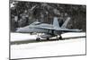 An F-A-18 Hornet of the Swiss Air Force-null-Mounted Photographic Print
