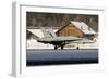 An F-A-18 Hornet of the Swiss Air Force-null-Framed Photographic Print