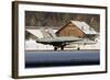 An F-A-18 Hornet of the Swiss Air Force-null-Framed Photographic Print