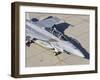 An F/A-18 Super Hornet of the U.S. Navy Air Test and Evaluation Squadron-Stocktrek Images-Framed Photographic Print