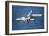 An F-A-18C Hornet Launches from the Flight Deck of USS Harry S. Truman-null-Framed Photographic Print