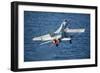 An F-A-18C Hornet Launches from the Flight Deck of USS Harry S. Truman-null-Framed Photographic Print