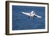 An F-A-18C Hornet Launches from the Flight Deck of USS Harry S. Truman-null-Framed Photographic Print