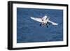 An F-A-18C Hornet Launches from the Flight Deck of USS Harry S. Truman-null-Framed Photographic Print