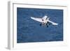 An F-A-18C Hornet Launches from the Flight Deck of USS Harry S. Truman-null-Framed Photographic Print