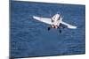 An F-A-18C Hornet Launches from the Flight Deck of USS Harry S. Truman-null-Mounted Photographic Print