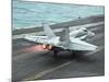 An F/A-18C Hornet Makes An Arrested Landing On the Aircraft Carrier USS Theodore Roosevelt-Stocktrek Images-Mounted Photographic Print