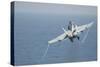 An F-A-18C Hornet Taking Off-null-Stretched Canvas