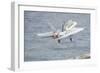 An F-A-18C Hornet Taking Off-null-Framed Photographic Print