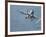 An F-A-18C Hornet Taking Off-null-Framed Photographic Print