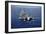 An F-A-18E Super Hornet Flying Above USS John C. Stennis-null-Framed Photographic Print