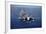 An F-A-18E Super Hornet Flying Above USS John C. Stennis-null-Framed Photographic Print