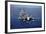 An F-A-18E Super Hornet Flying Above USS John C. Stennis-null-Framed Photographic Print