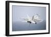 An F-A-18E Super Hornet in Flight over the Gulf of Oman-null-Framed Photographic Print