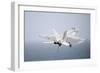 An F-A-18E Super Hornet in Flight over the Gulf of Oman-null-Framed Photographic Print