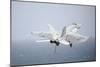 An F-A-18E Super Hornet in Flight over the Gulf of Oman-null-Mounted Photographic Print