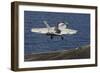 An F-A-18E Super Hornet Launches from the Flight Deck of USS Nimitz-null-Framed Photographic Print