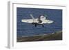 An F-A-18E Super Hornet Launches from the Flight Deck of USS Nimitz-null-Framed Photographic Print