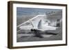 An F-A-18F Super Hornet Prepares for Launch-null-Framed Photographic Print