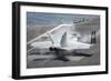 An F-A-18F Super Hornet Prepares for Launch-null-Framed Photographic Print