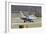 An FA-18 Hornet of the Swiss Air Force on the Runway-Stocktrek Images-Framed Photographic Print