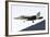 An FA-18 Hornet of the Swiss Air Force-Stocktrek Images-Framed Photographic Print