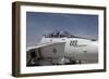 An FA-18B Hornet in Centennial Markings-null-Framed Photographic Print