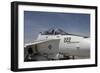 An FA-18B Hornet in Centennial Markings-null-Framed Photographic Print