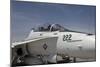 An FA-18B Hornet in Centennial Markings-null-Mounted Photographic Print