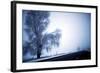 An Ice Encrusted Tree and Thick Fog in the Morning after a Snowstorm in North Central Oregon-Bennett Barthelemy-Framed Photographic Print