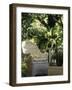 An Ideal Place for Reflection-null-Framed Photographic Print