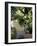 An Ideal Place for Reflection-null-Framed Photographic Print