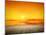 An Image of a Beautiful Golden Sunset over the Ocean-magann-Mounted Photographic Print