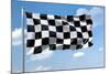 An Image Of A Formula1 Flag In The Blue Sky-magann-Mounted Photographic Print