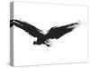 An Image Of A Grunge Black Bird-magann-Stretched Canvas