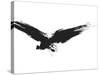An Image Of A Grunge Black Bird-magann-Stretched Canvas