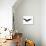 An Image Of A Grunge Black Bird-magann-Art Print displayed on a wall