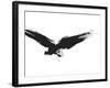 An Image Of A Grunge Black Bird-magann-Framed Art Print