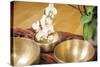 An Image of Some Singing Bowls and a White Orchid-magann-Stretched Canvas