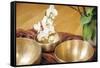 An Image of Some Singing Bowls and a White Orchid-magann-Framed Stretched Canvas