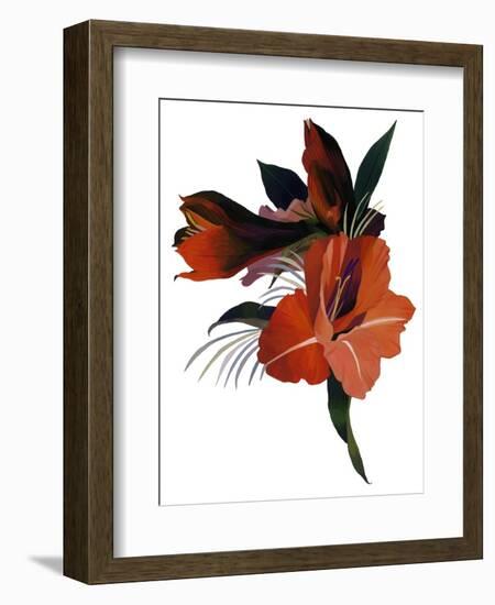 An imaginary flower based on an amaryllis-Hiroyuki Izutsu-Framed Giclee Print