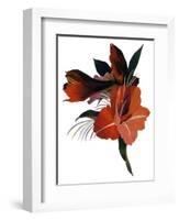 An imaginary flower based on an amaryllis-Hiroyuki Izutsu-Framed Giclee Print