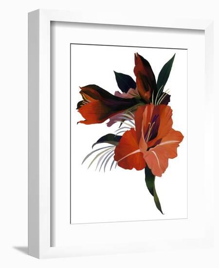 An imaginary flower based on an amaryllis-Hiroyuki Izutsu-Framed Giclee Print