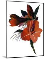 An imaginary flower based on an amaryllis-Hiroyuki Izutsu-Mounted Giclee Print