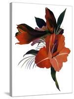 An imaginary flower based on an amaryllis-Hiroyuki Izutsu-Stretched Canvas