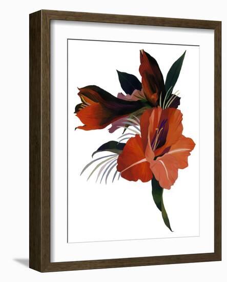 An imaginary flower based on an amaryllis-Hiroyuki Izutsu-Framed Giclee Print