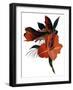 An imaginary flower based on an amaryllis-Hiroyuki Izutsu-Framed Giclee Print